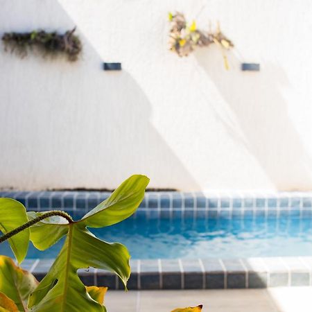 Casa Kayak - Villa Remo Milagres Piscina Privativa São Miguel dos Milagres Eksteriør billede